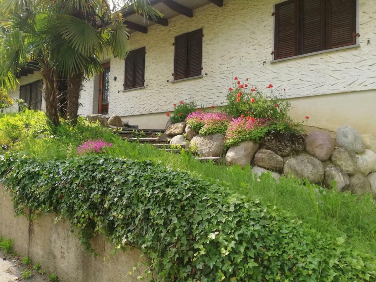 Casa Parentela *